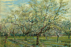 vangogh