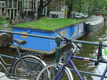 Walletjes