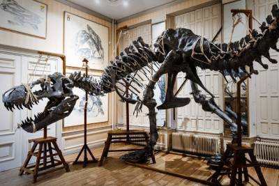 art zoo